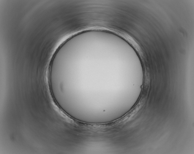 X0000110970958200906191108