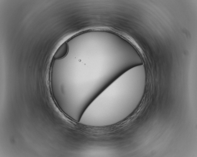 X0000110970959200906191108