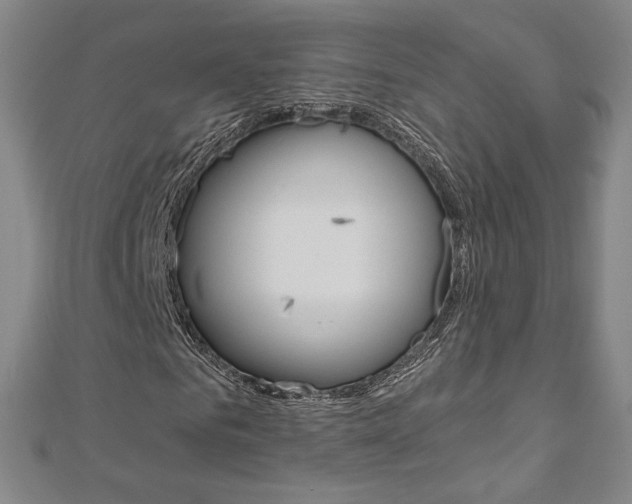 X0000110970961200906191107