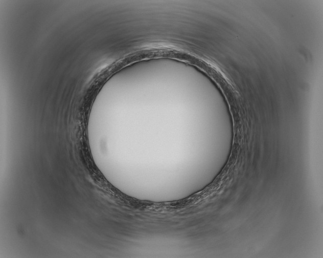 X0000110970967200906191107