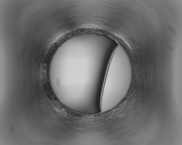 X0000110970968200906191107