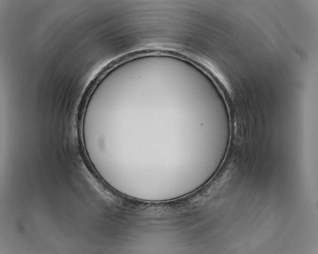 X0000110970972200906191107