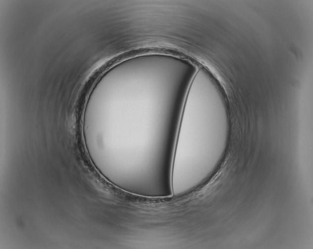 X0000110970975200906191107