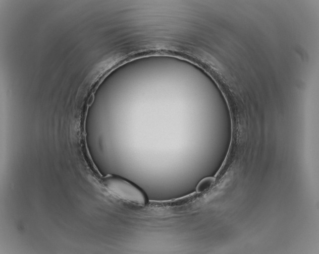X0000110970977200906191107