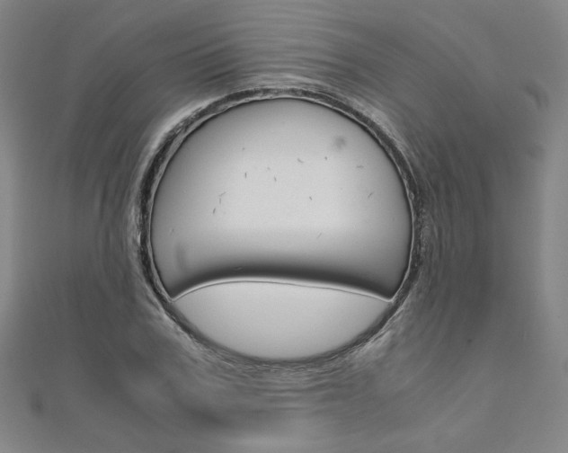X0000110970979200906191107