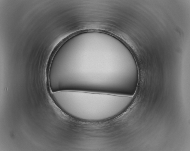 X0000110970980200906191107