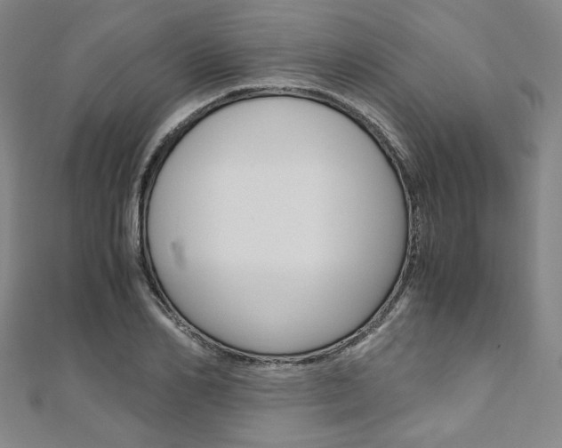 X0000110970982200906191107