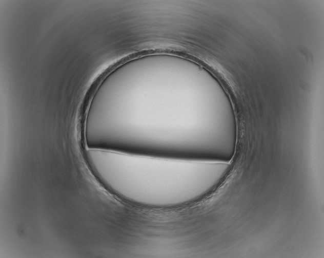 X0000110970983200906191107