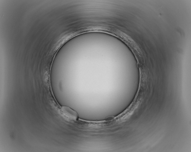 X0000110970985200906191107