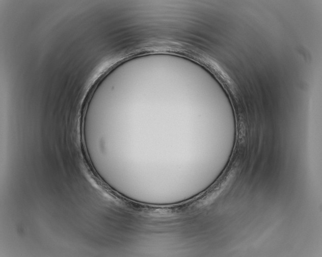 X0000110970986200906191107