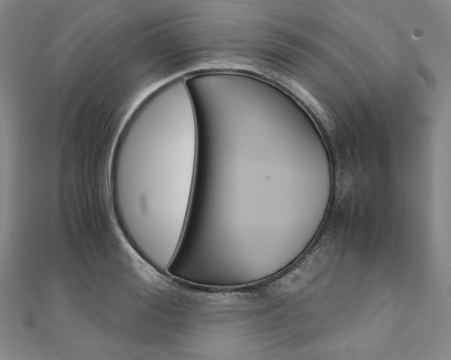 X0000110970988200906191107