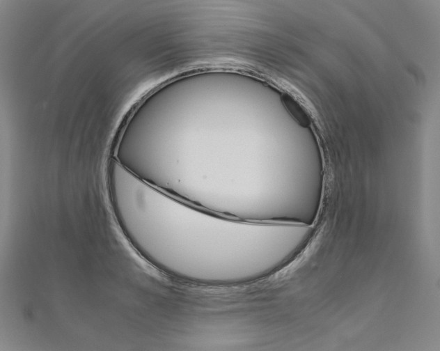 X0000110970989200906191107