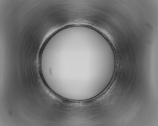 X0000110970990200906191107