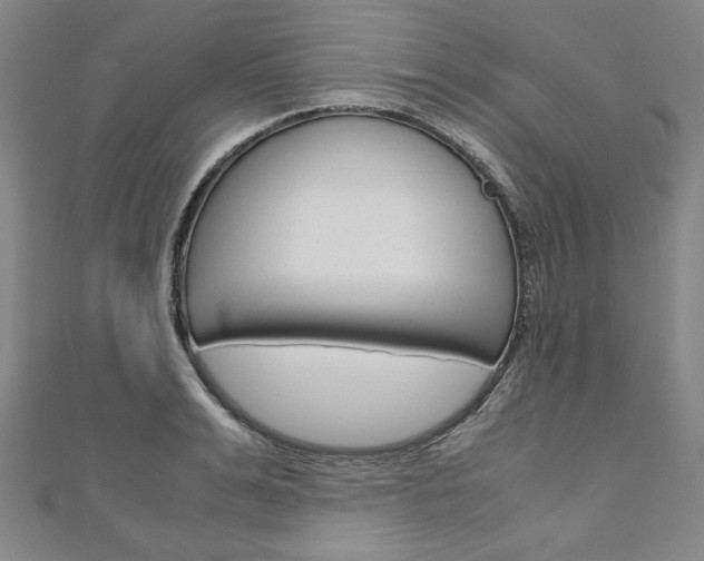 X0000110970991200906191107
