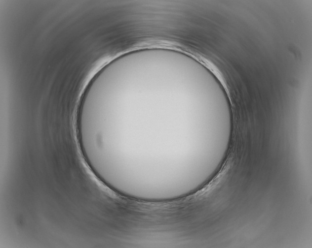 X0000110970997200906191107