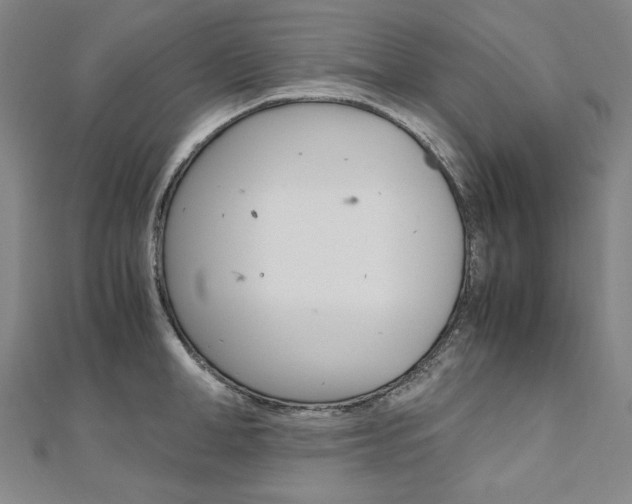 X0000110970998200906191107