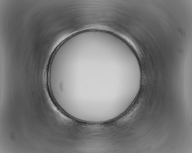 X0000110970999200906191107