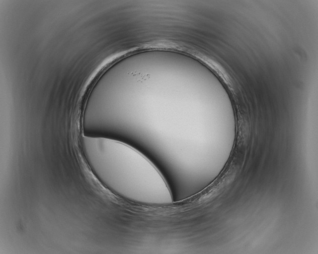 X0000110971000200906191107