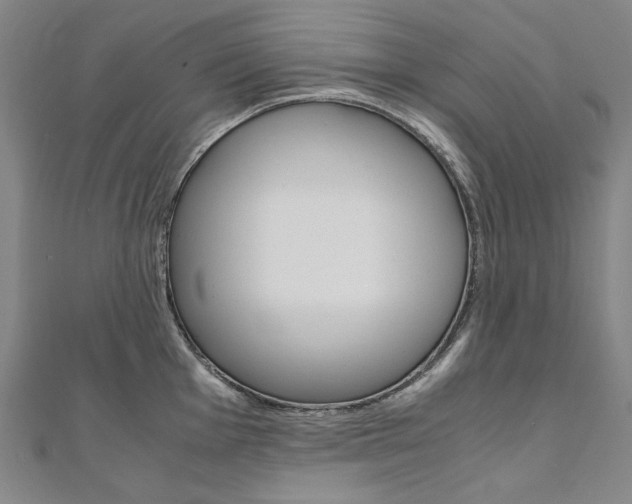 X0000110971001200906191107