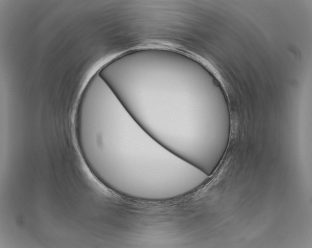 X0000110971003200906191107