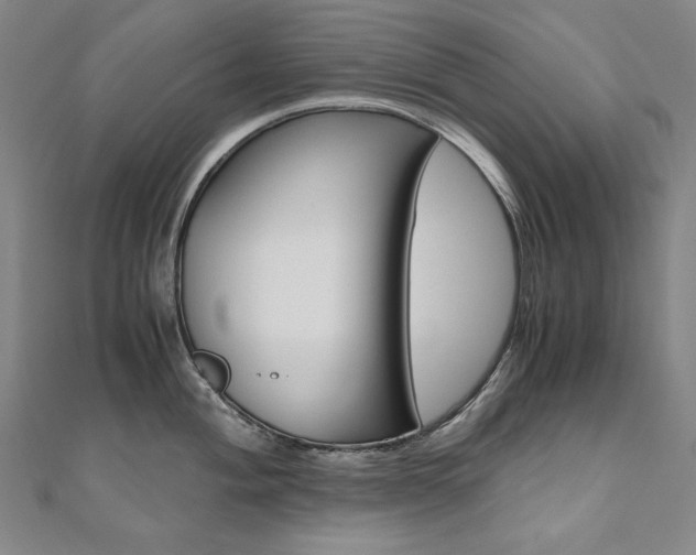 X0000110971004200906191107