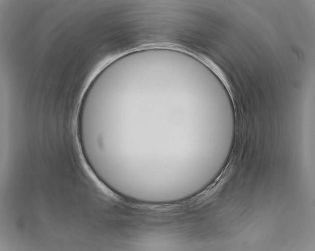 X0000110971005200906191107
