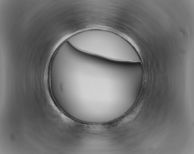 X0000110971007200906191107