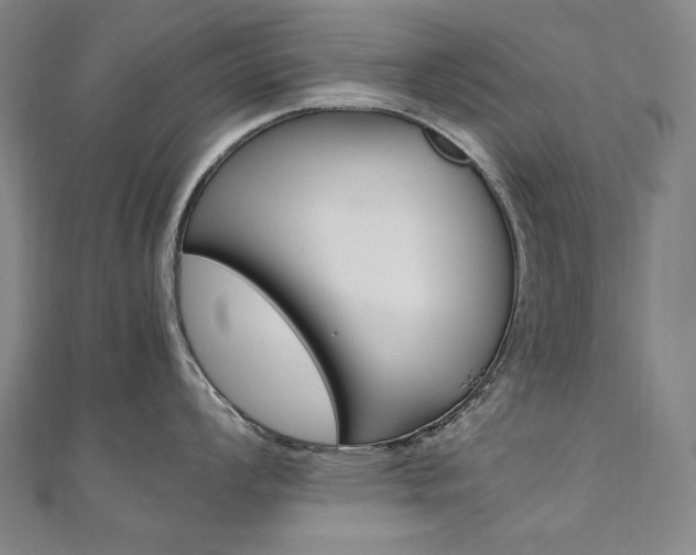 X0000110971008200906191106