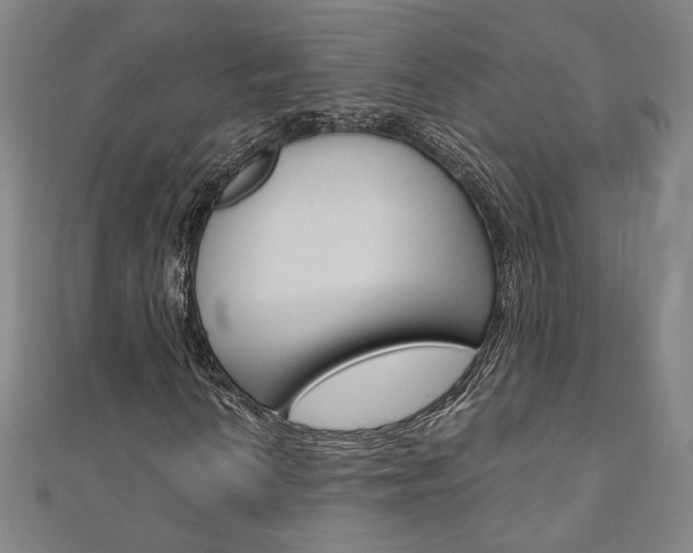 X0000110971010200906191106