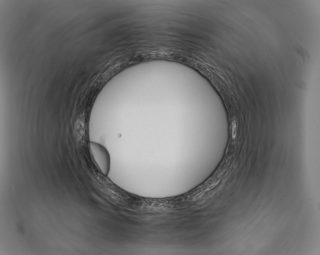 X0000110971011200906191106