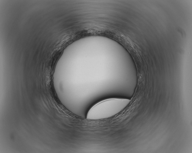 X0000110971012200906191106