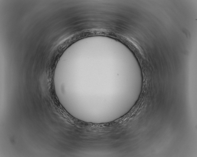 X0000110971015200906191106