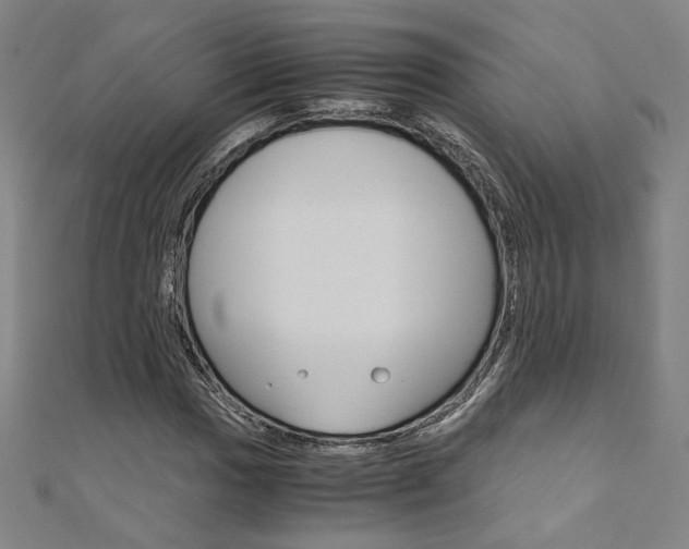 X0000110971017200906191106
