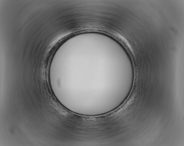 X0000110971019200906191106