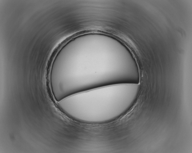 X0000110971020200906191106