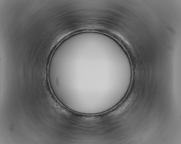 X0000110971025200906191106