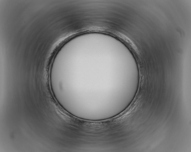 X0000110971027200906191106