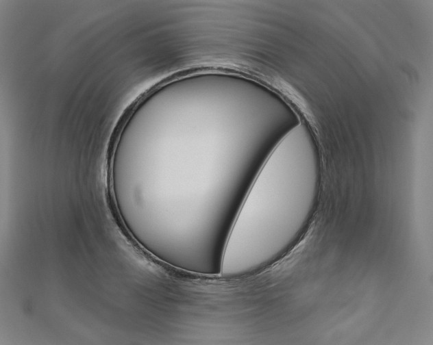 X0000110971028200906191106