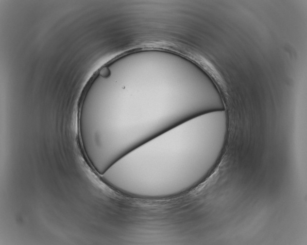 X0000110971036200906191106