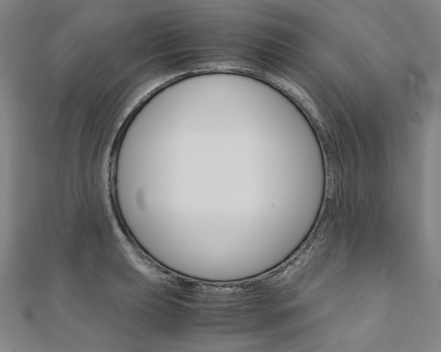 X0000110971039200906191106