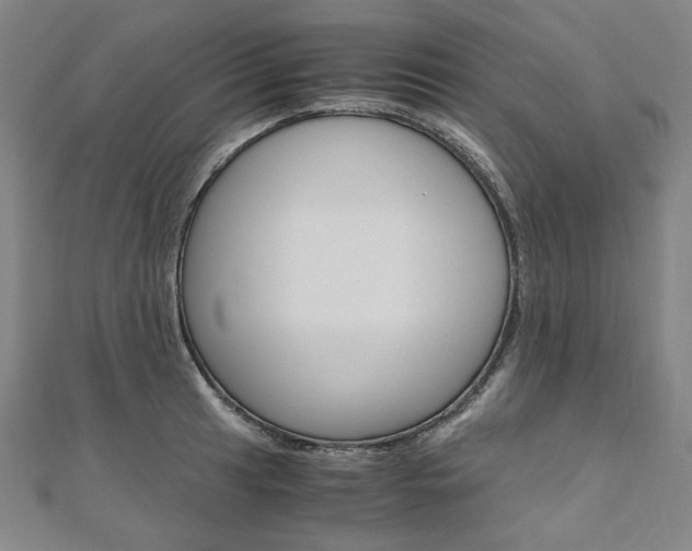 X0000110971041200906191106