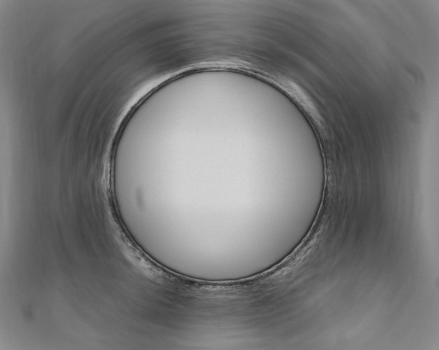 X0000110971044200906191106