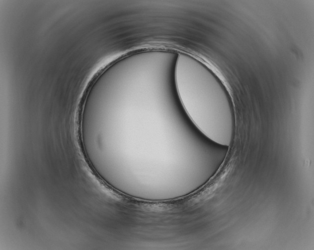 X0000110971045200906191106
