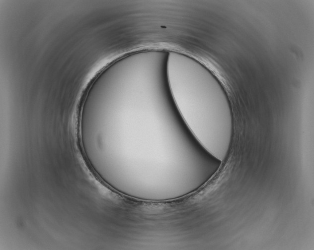 X0000110971046200906191106