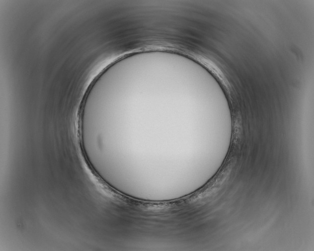 X0000110971047200906191106