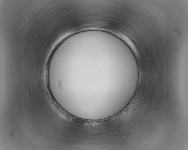 X0000110971051200906191106