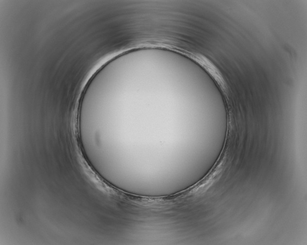 X0000110971052200906191106