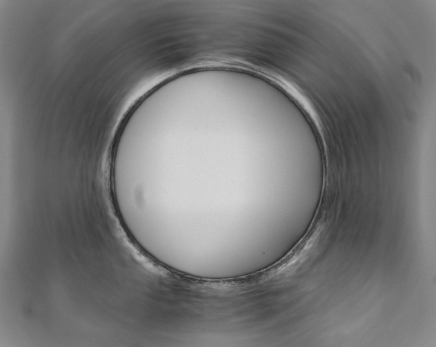 X0000110971053200906191106