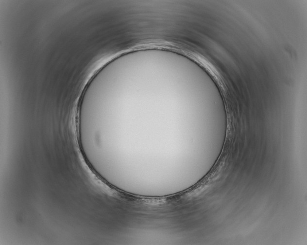 X0000110971055200906191106