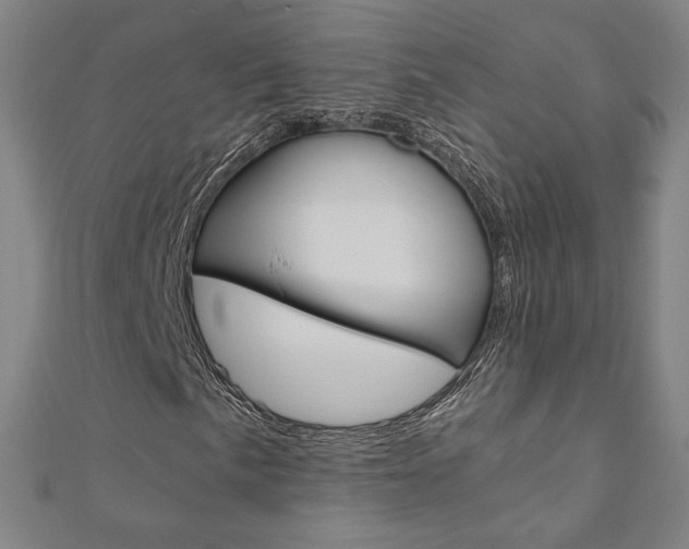 X0000110971057200906191106